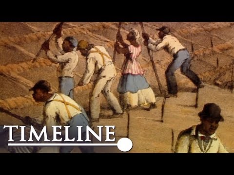 Gold, Silver & Slaves (Britain's Slave Trade Documentary Gold, Silver & Slaves (Britain's Slave Trade Documentary